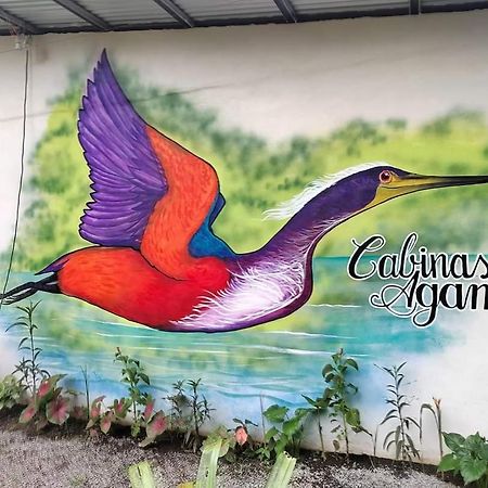 Cabinas Agamy Tortuguero Bagian luar foto