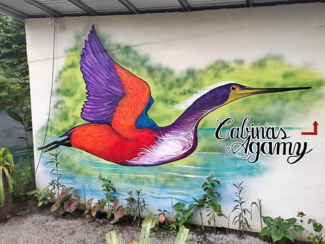 Cabinas Agamy Tortuguero Bagian luar foto