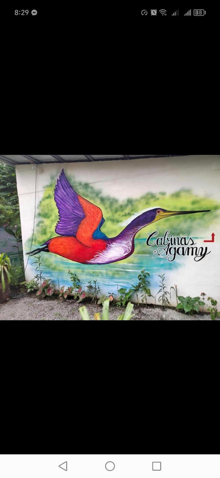 Cabinas Agamy Tortuguero Bagian luar foto