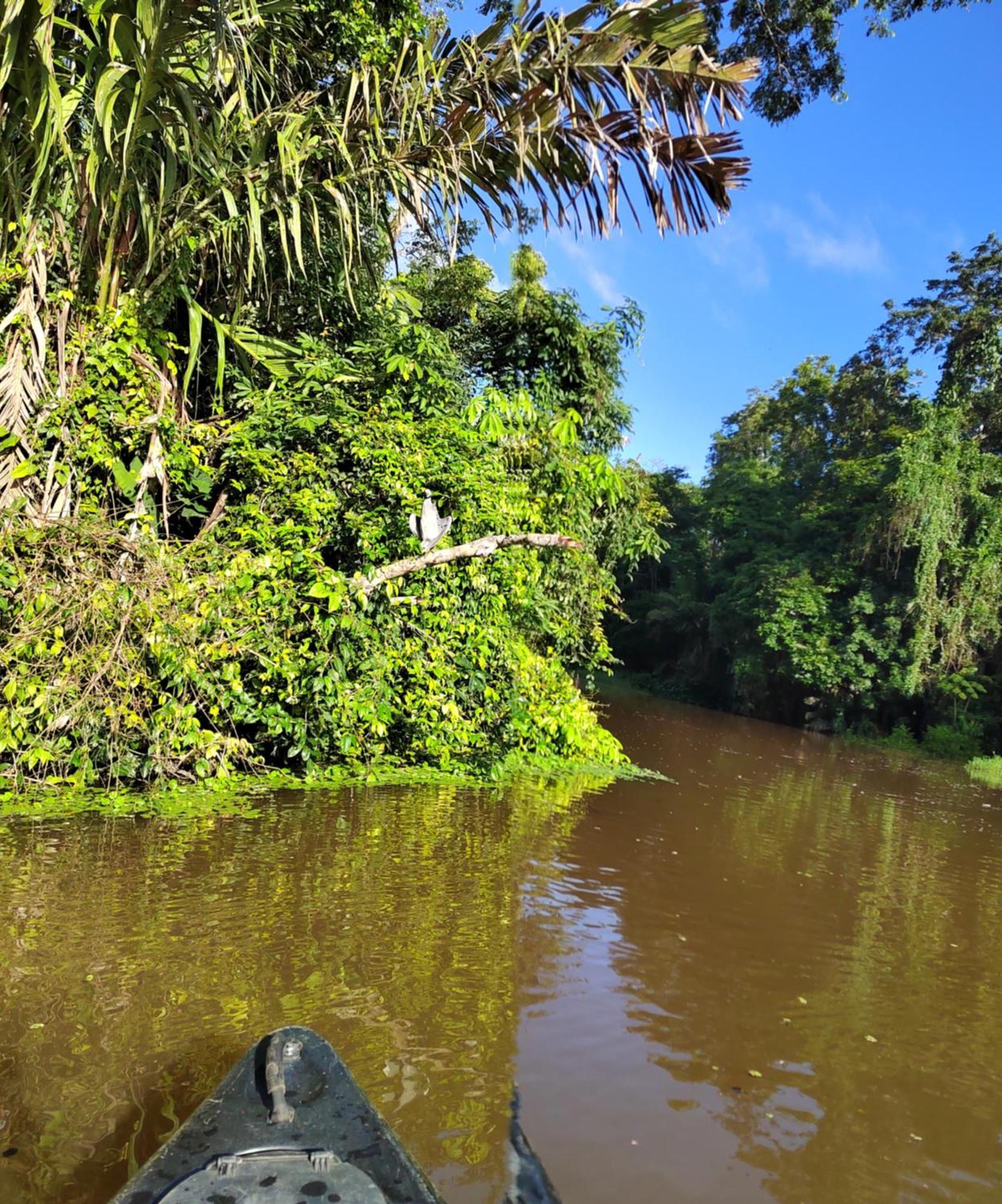 Cabinas Agamy Tortuguero Bagian luar foto
